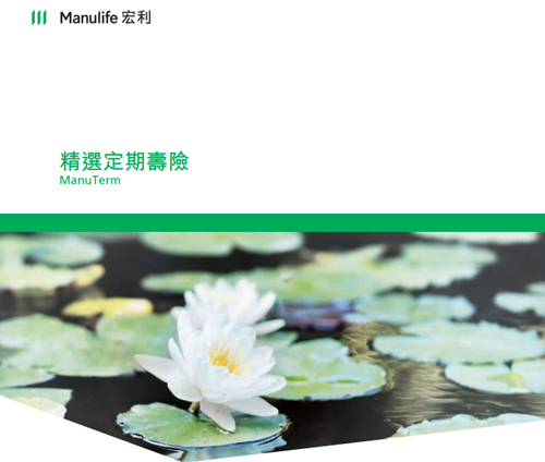 精选定期寿险