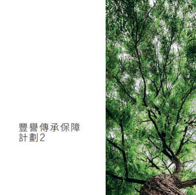 丰誉传承保障计划2