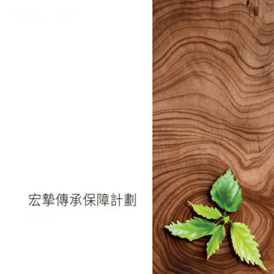 宏挚传承保障计划