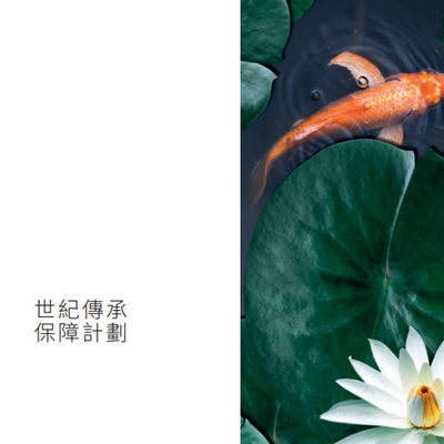 世纪传承保障计划